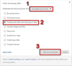 Google Chrome Clear browsing data window