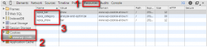 Chrome F12 cookie info