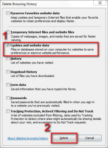 Internet Explorer browsing data window