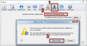 Safari Clear browsing data window