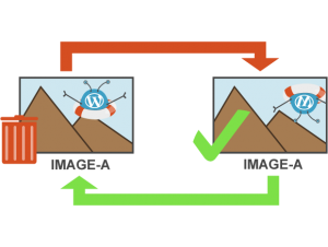 Logo WeePie Image Overwrite Plugin